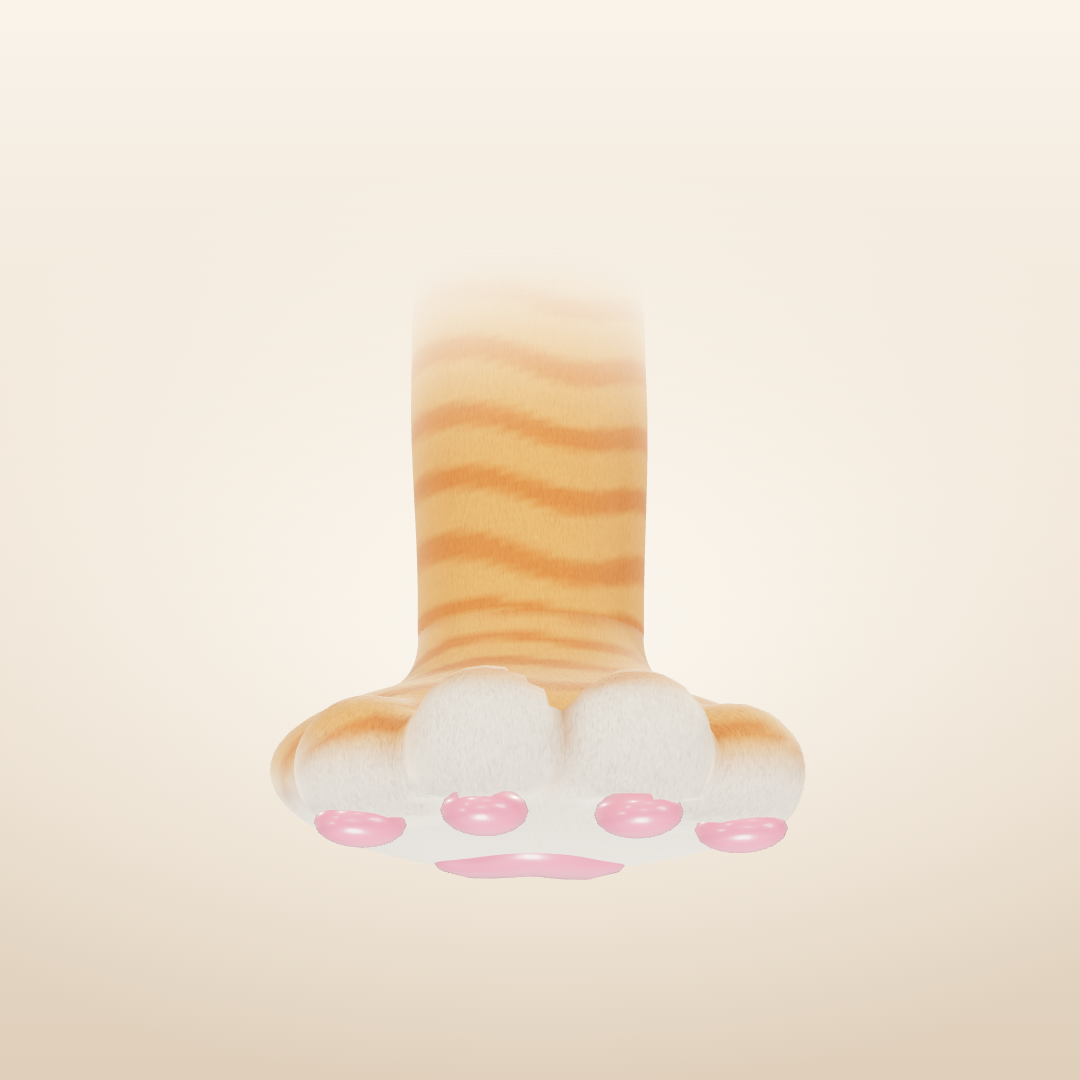 고양이 발바닥 모델 근접 참고 이미지